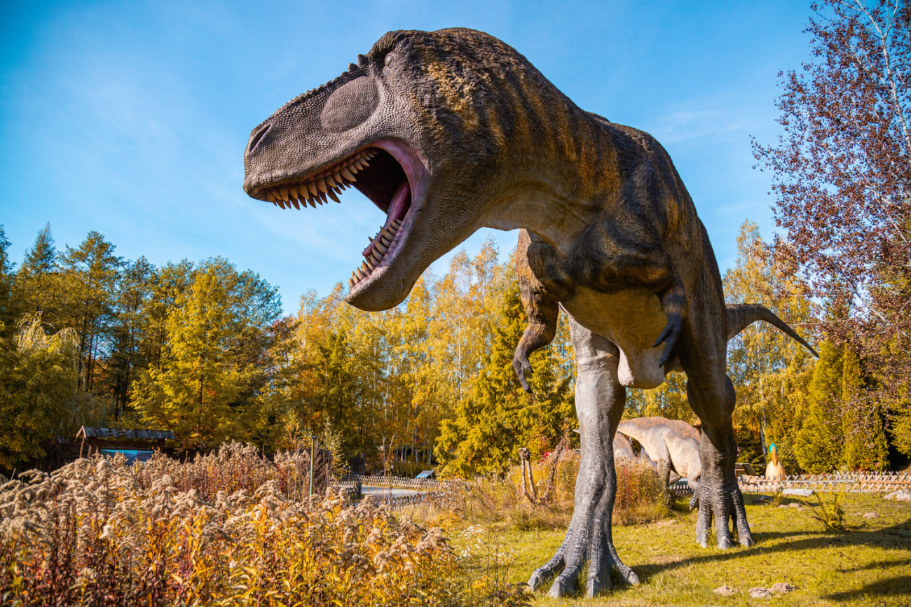 "Najlepszy Produkt Turystyczny – Certyfikat POT 2024": Bałtowski Kompleks Turystyczny