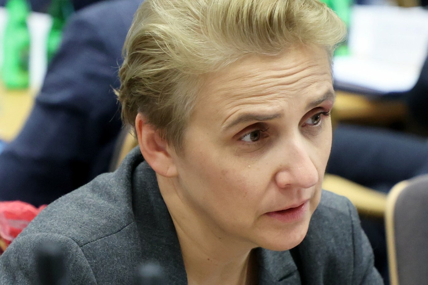 Joanna Scheuring-Wielgus