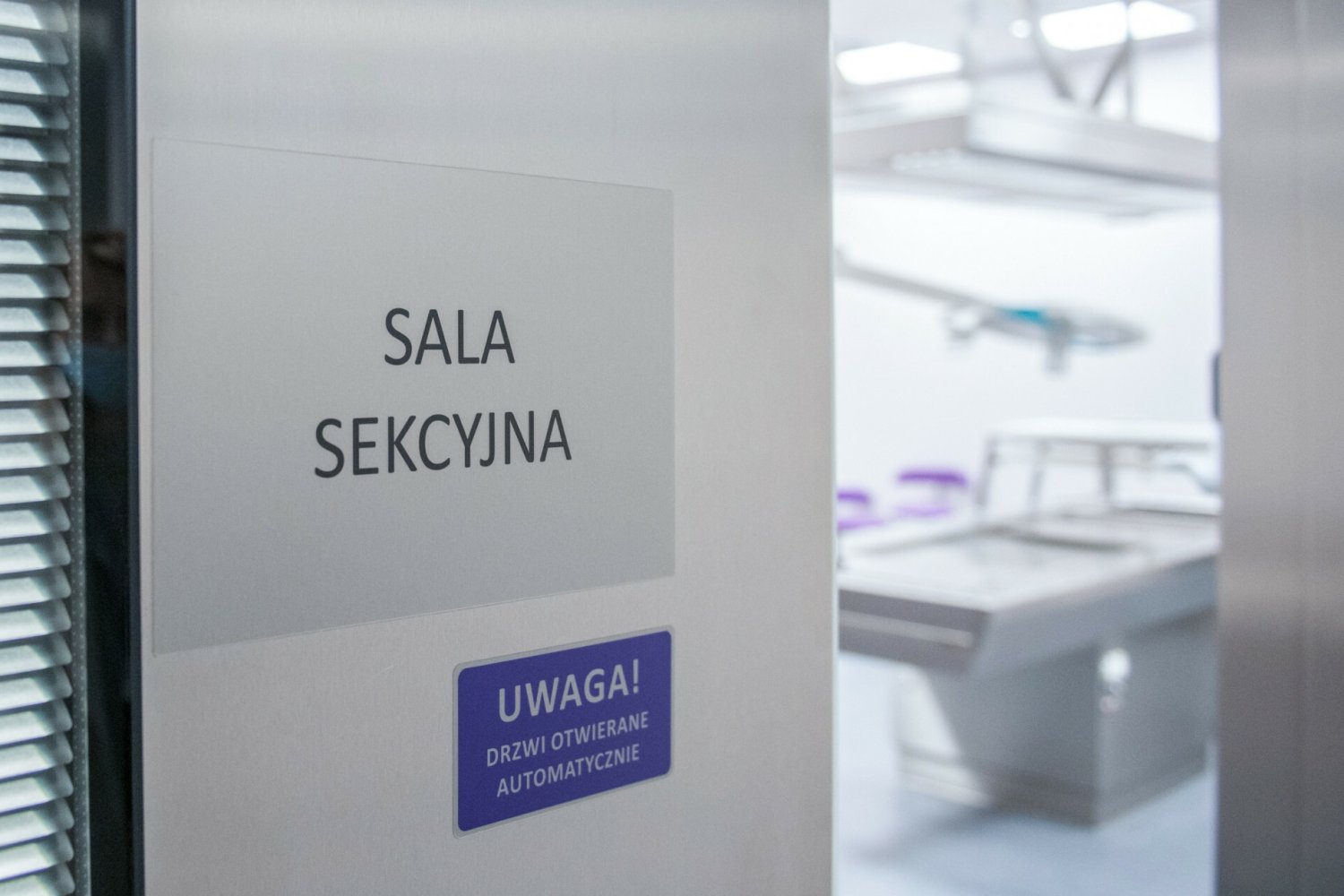 Prokuratura postawiła zarzuty 33-letniej Aleksandrze B.