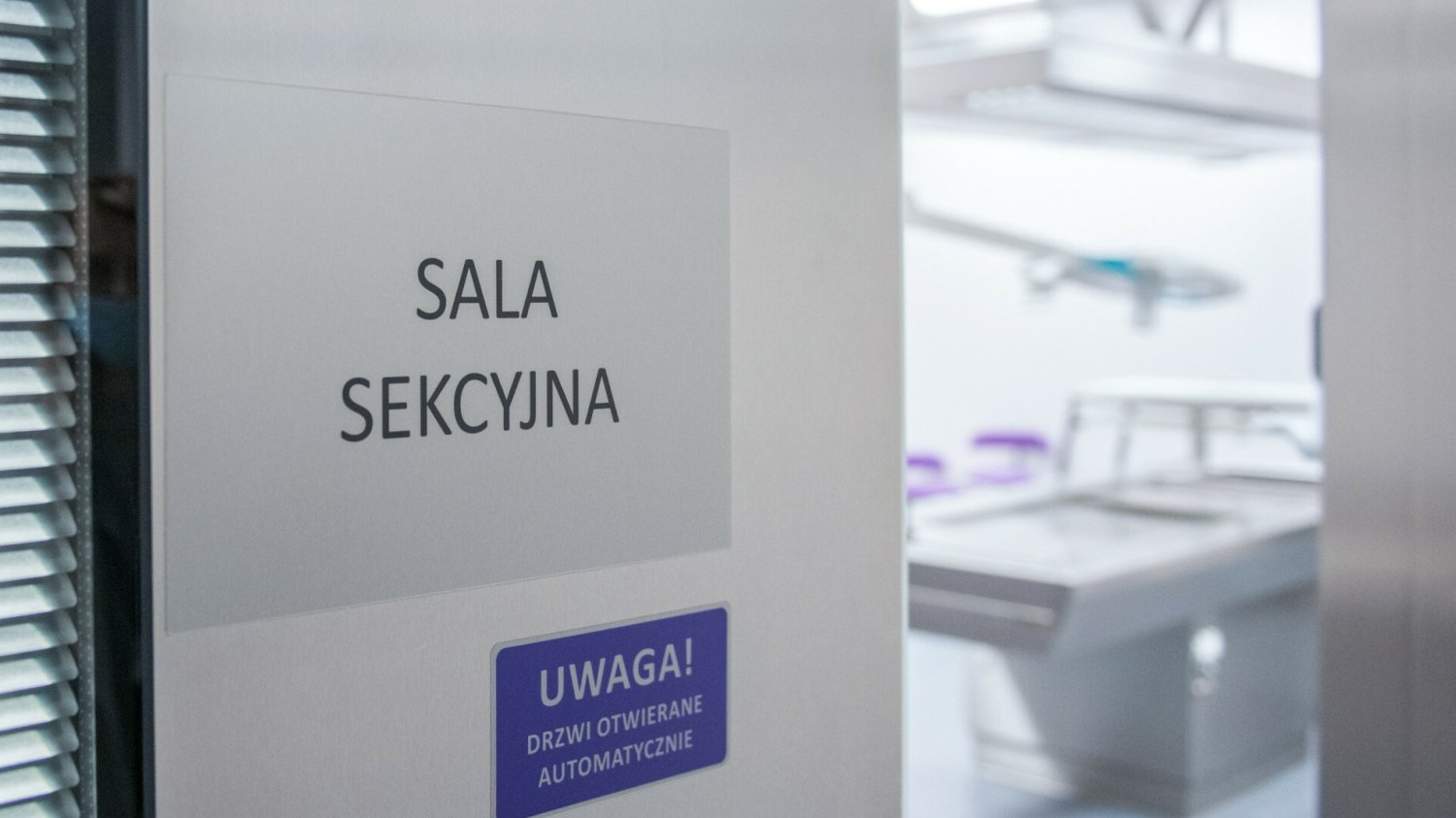 Prokuratura postawiła zarzuty 33-letniej Aleksandrze B.