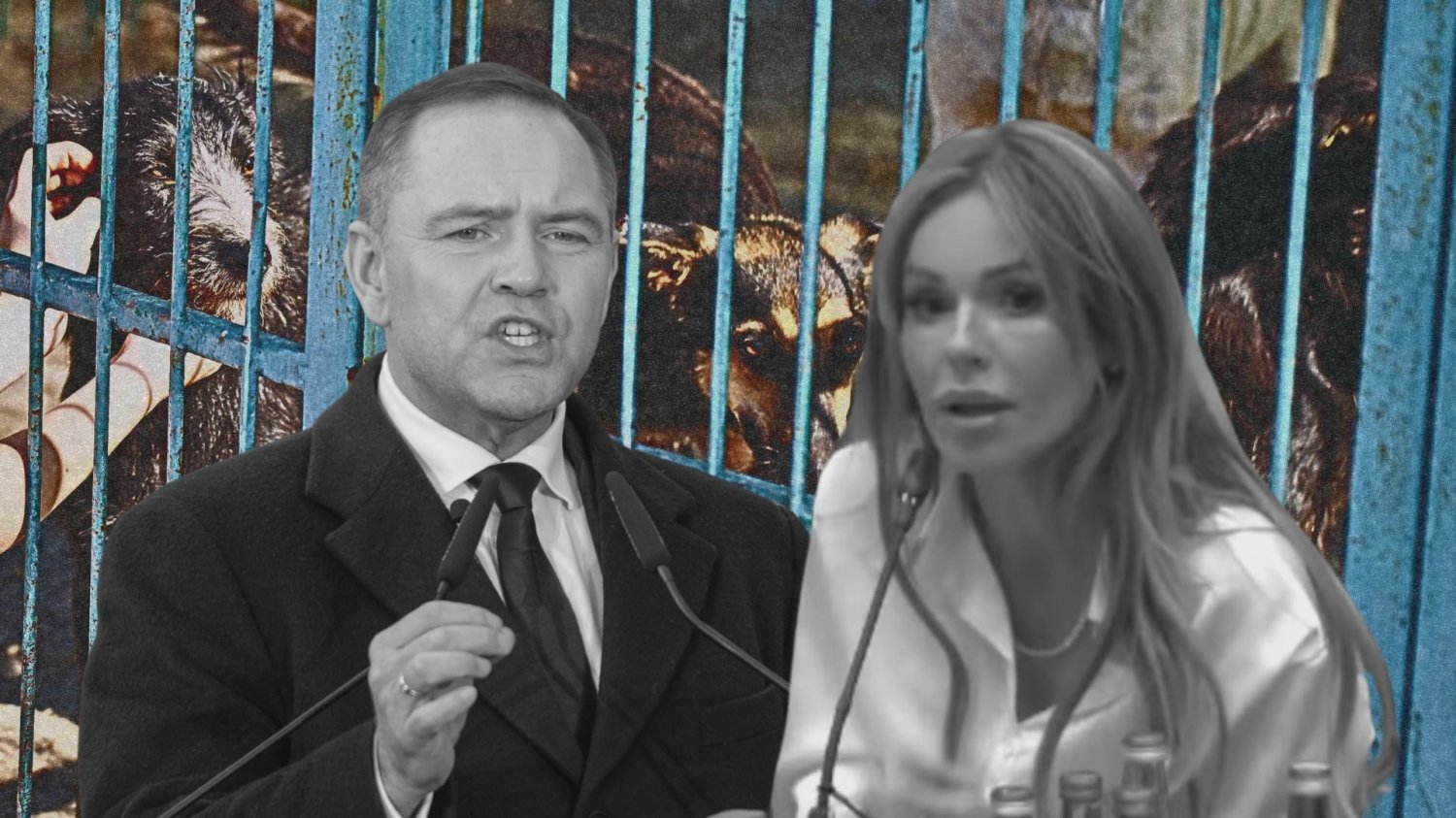 Nawrocki będzie rozmawiał z Dodą o ochronie zwierząt. Ten kraj to żart Karol Nawrocki i Doda na tle schroniska dla zwierząt