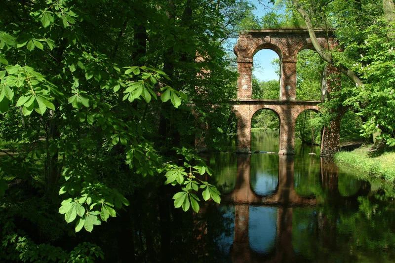 Park Arkadia - to właśnie tu kręcono Akademię Pana Kleksa. To zaledwie kilkadziesiąt kilometrów od Warszawy.