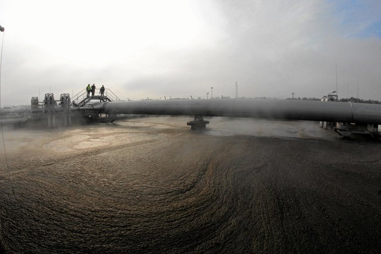 Czajka funkcjonuje w Warszawie od 2012 roku.