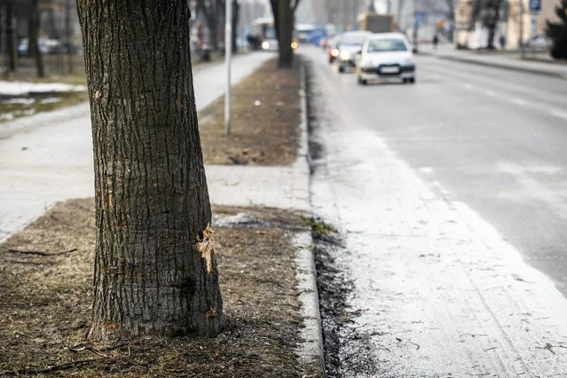 Oświęcim, ul. Powstańców Śląskich. Tu doszło do wypadku z udziałem samochodu premier Szydło.