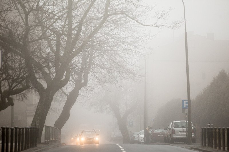 Uczestnikom obchodów Święta Niepodległości mogą przeszkodzić opady deszczu.