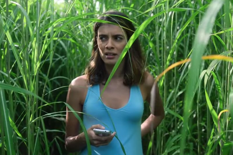 Jednym z filmów, który trafi na platformę, będzie "In the Tall Grass".