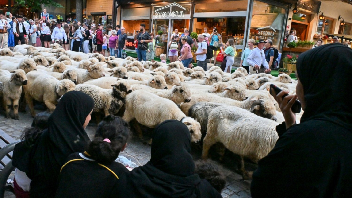 Turyści z Półwyspu Arabskiego podczas redyku w Zakopanem, który odbył się w sierpniu tego roku.