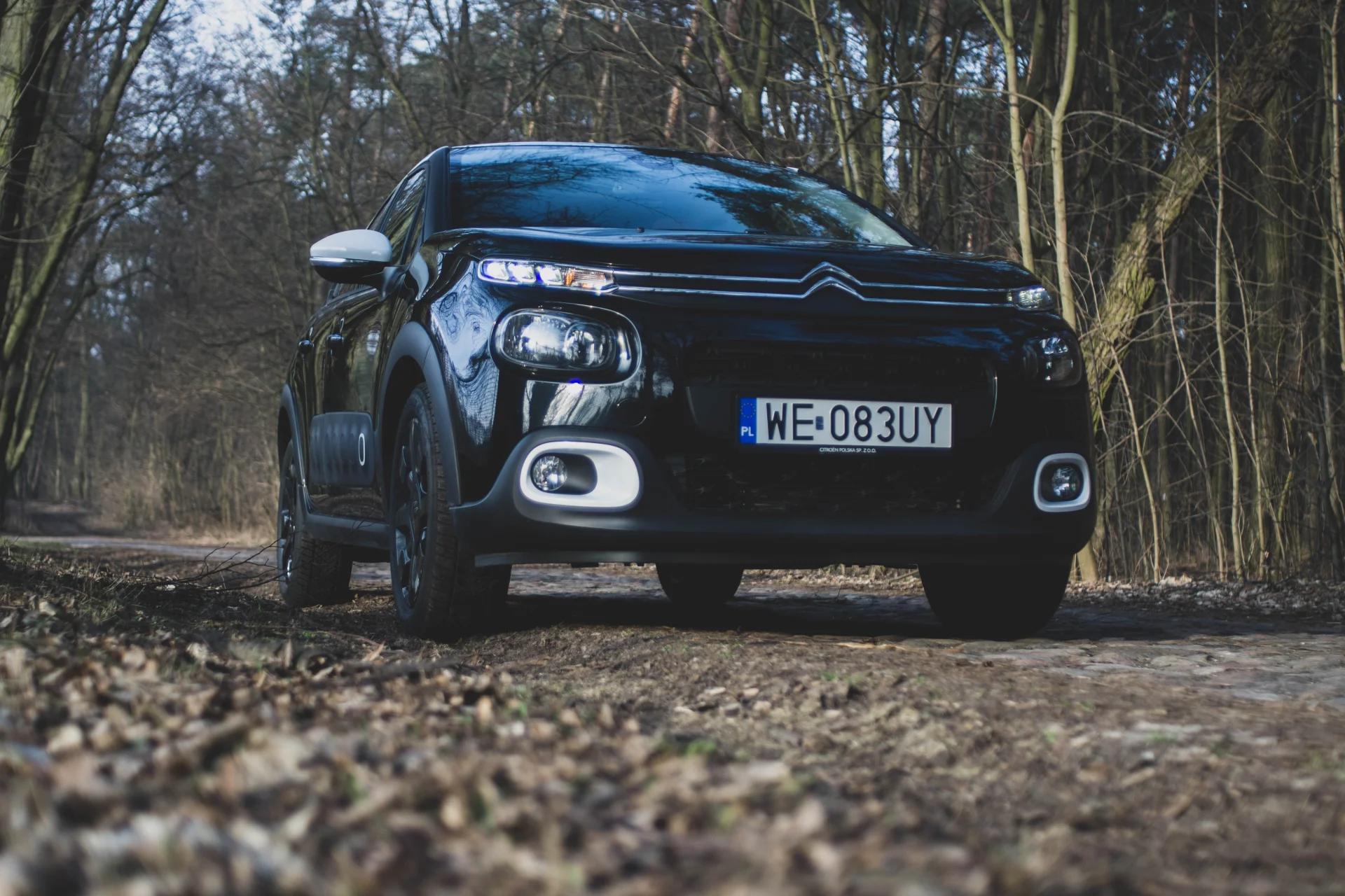 Citroen C3 jest piękny i komfortowy, ale może być drogi.