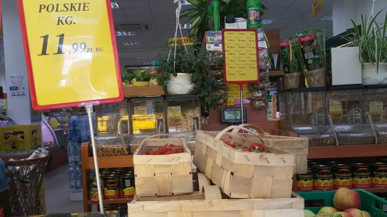 Dlaczego Lidl i Biedronka tak późno rozpoczęły sprzedaż polskich truskawek? Odpuszczają biznes, gdy plantatorzy trzymają wysokie ceny.