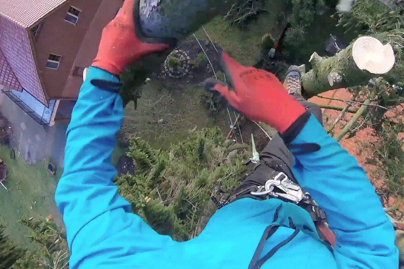 Szyszko napędził klientów  "drzewiarzom". Zdjęcie z firmy Foret Adama Jankiewicza.