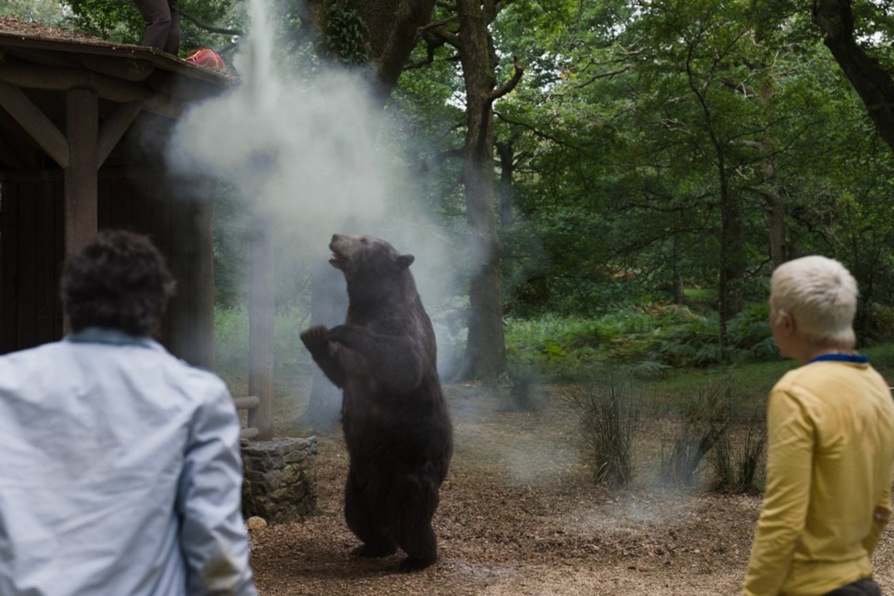 "Kokainowy miś" [RECENZJA]