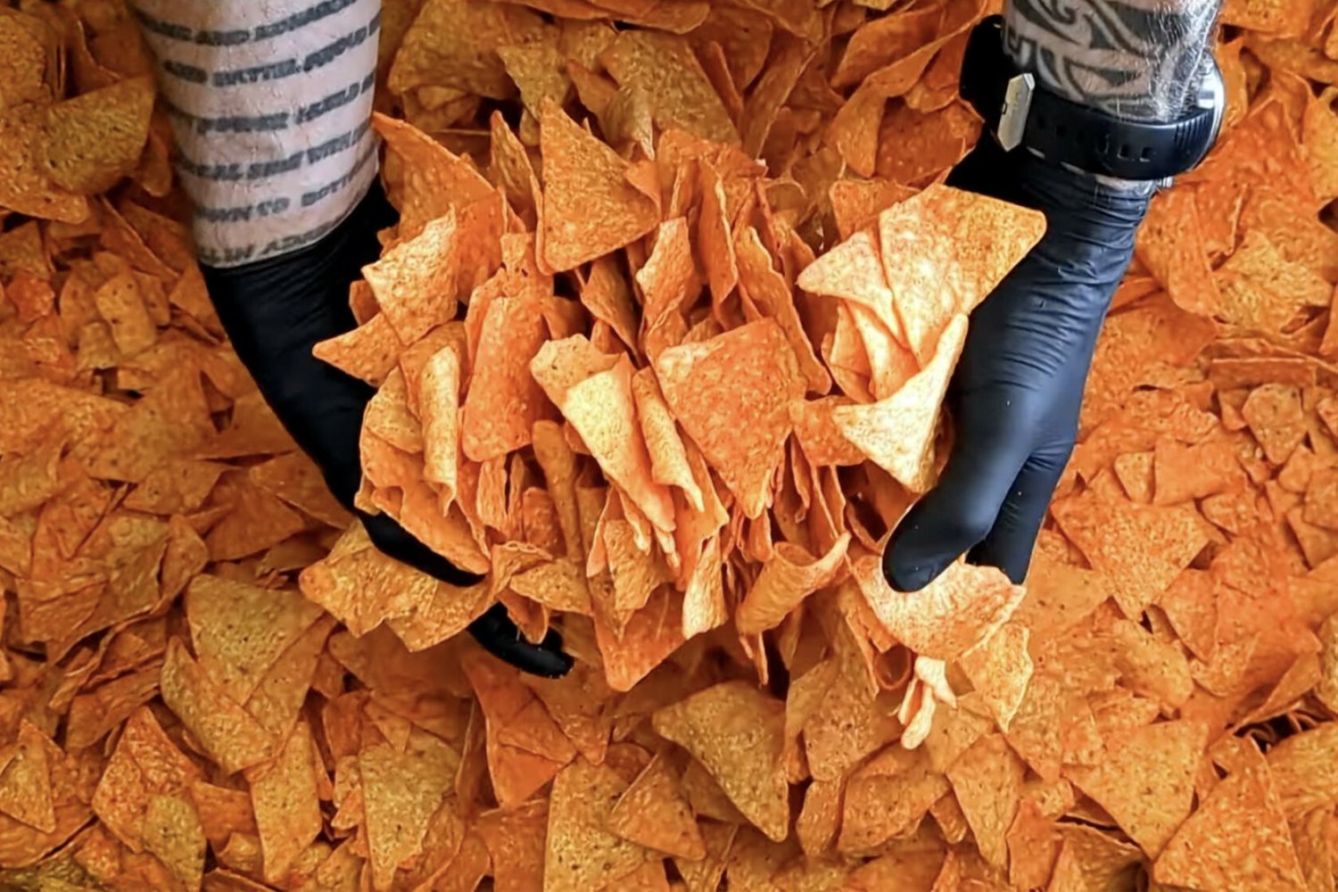 Zdjęcie jest ilustracją do tekstu.