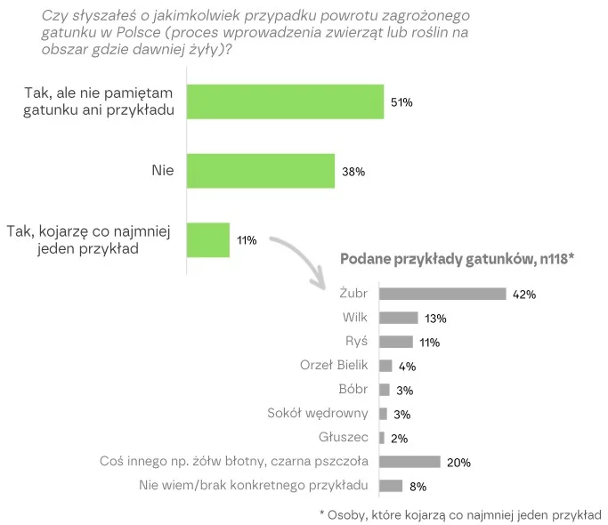 Nowe badanie o ochronie gatunków. Z uratowanych zwierząt Polacy pamiętają głównie żubra Wykres z badania powrocie zagrożonego gatunku