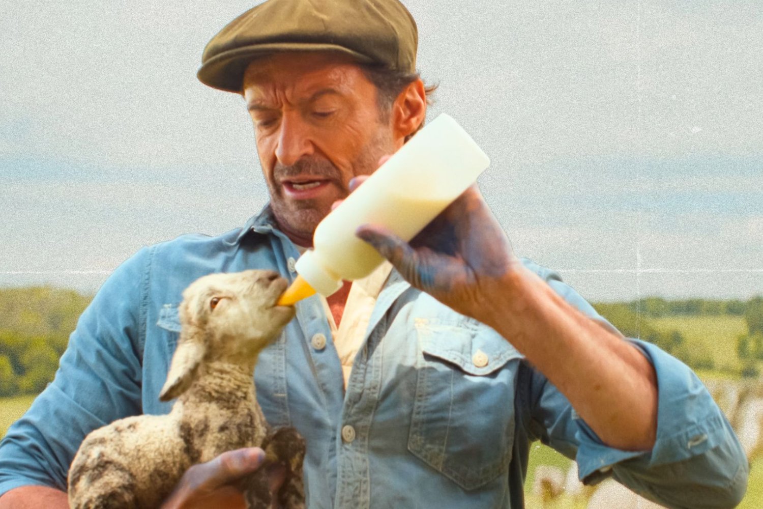 Hugh Jackman w  Sprawiedliwość owiec