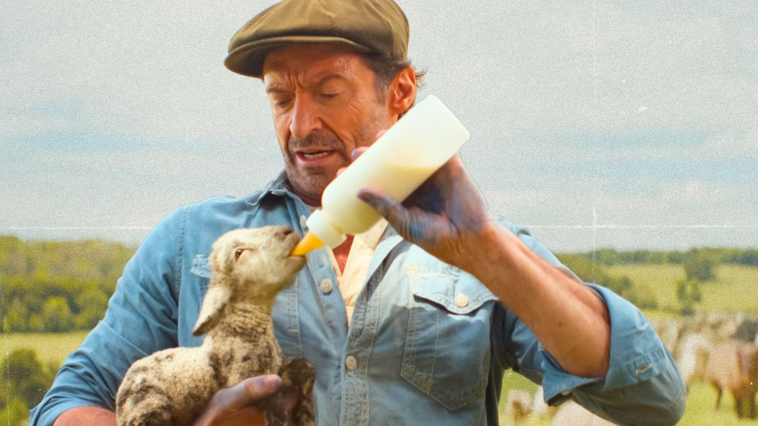 Hugh Jackman w  Sprawiedliwość owiec