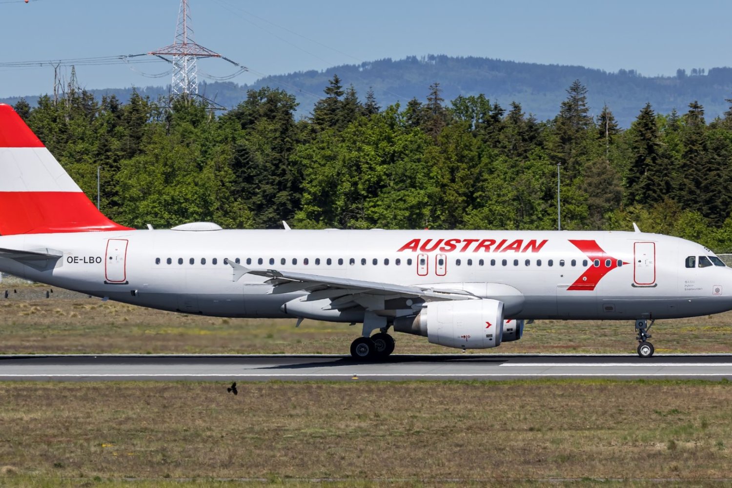 Intruz w samolocie Austrian Airlines