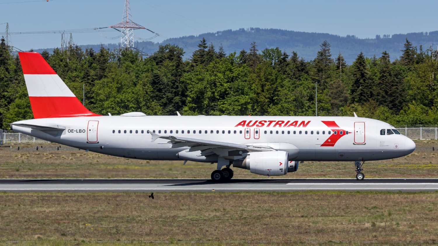 Intruz Austrian Airlines Intruz w samolocie Austrian Airlines