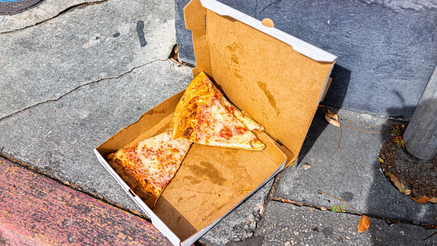 gdzie wyrzucić karton po pizzy? karton po pizzy
