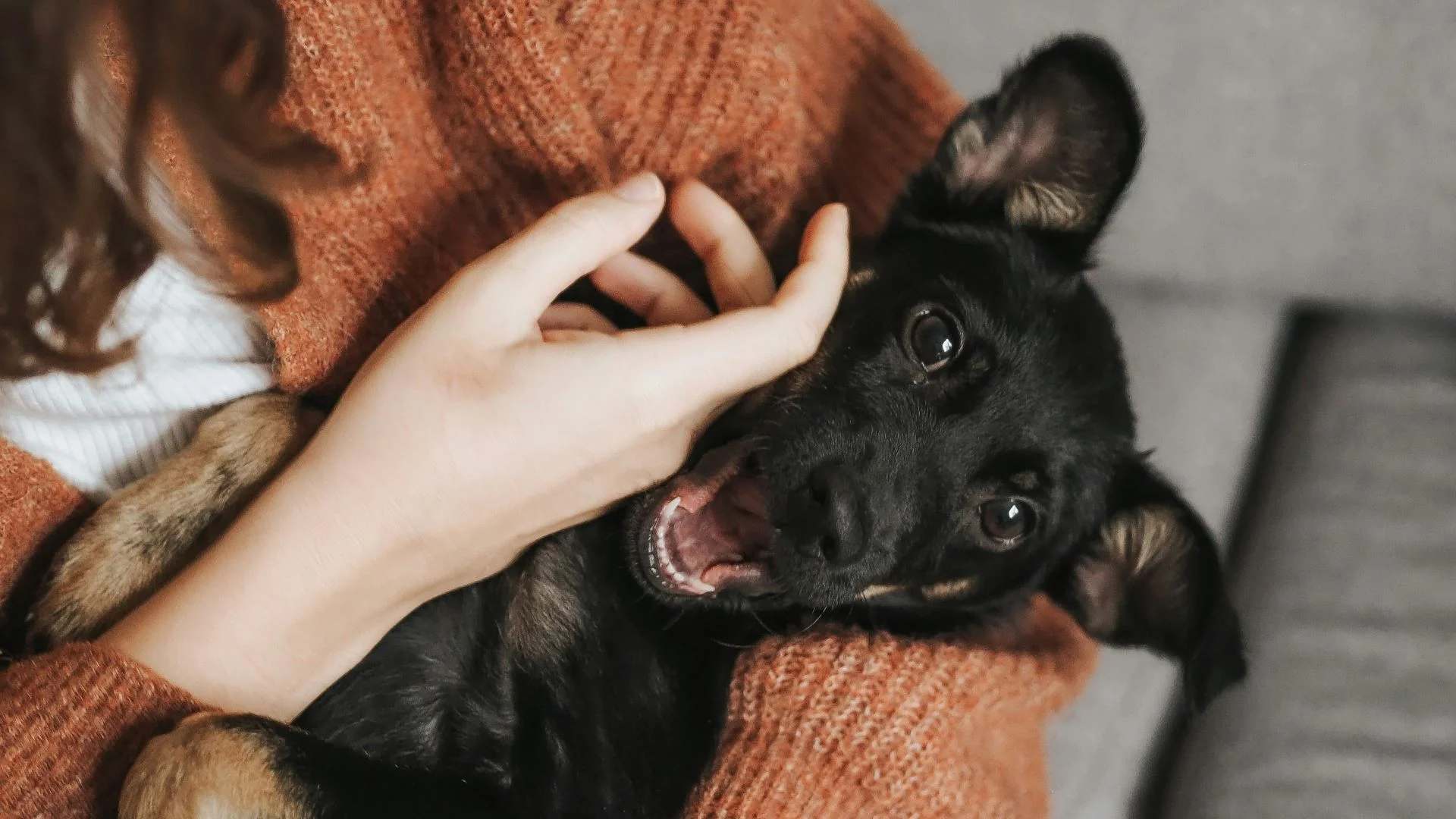 Kobieta głaskająca psa