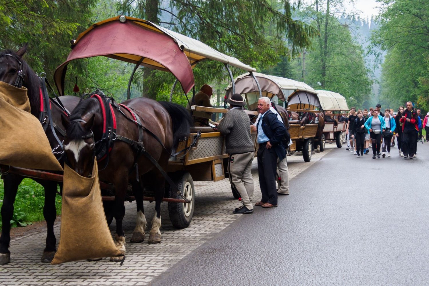 Konie nad Morskie Oko już nie pojadą Koniec koni nad Morskim Okiem. Pojadą krótszą trasą