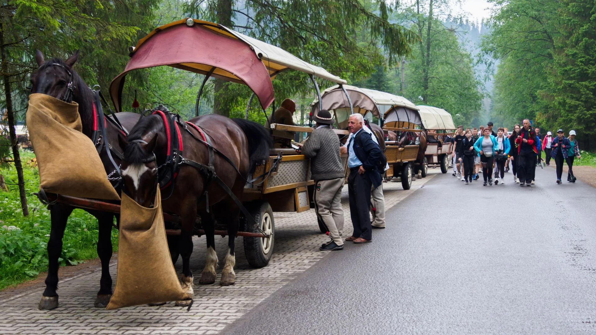Konie nad Morskie Oko już nie pojadą Koniec koni nad Morskim Okiem. Pojadą krótszą trasą
