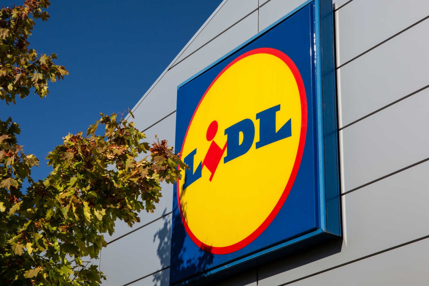 Logo sklepu Lidl