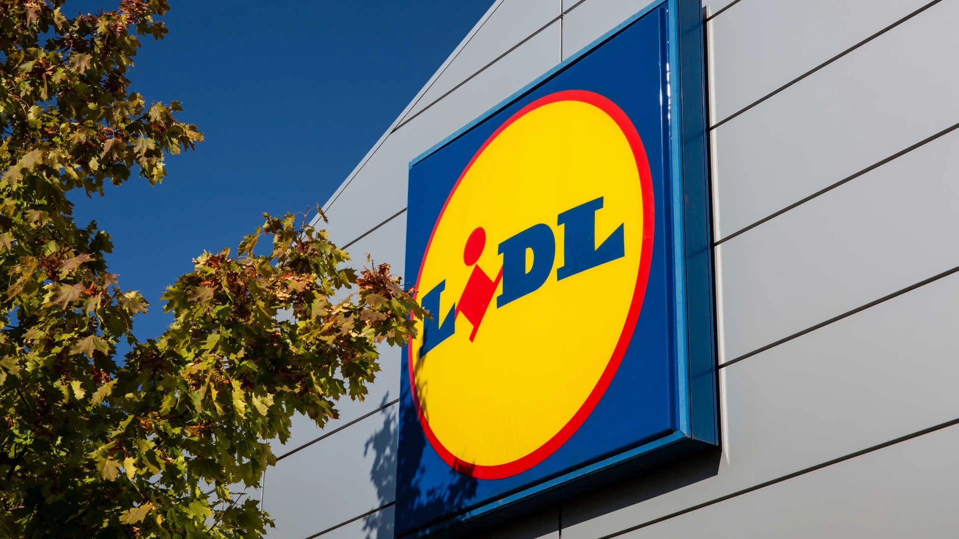 Ochrona przyrody w Polsce 2026. Badanie Lidl i WWF Logo sklepu Lidl