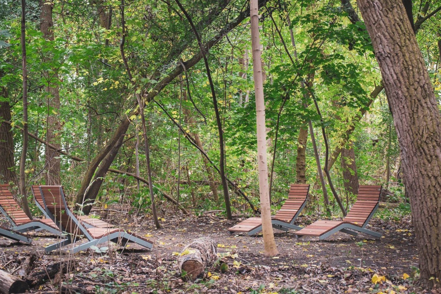Polska powalczy w prestiżowym konkursie Nasz park powalczy o znaną nagrodę