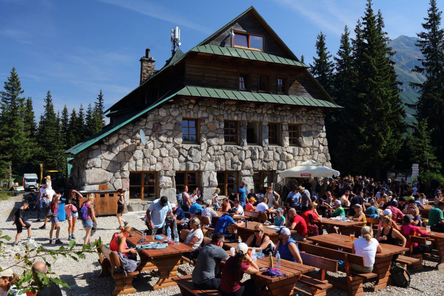 Niedźwiedź dorwał się do śmieci w Murowańcu