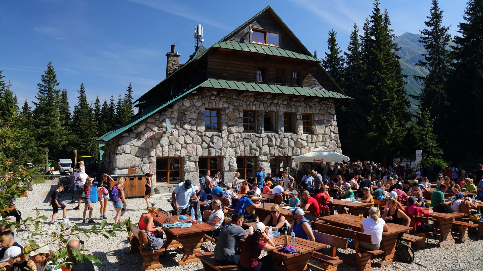Niedźwiedź w akcji w Murowańcu. Nagranie zamknie usta turystom w Tatrach