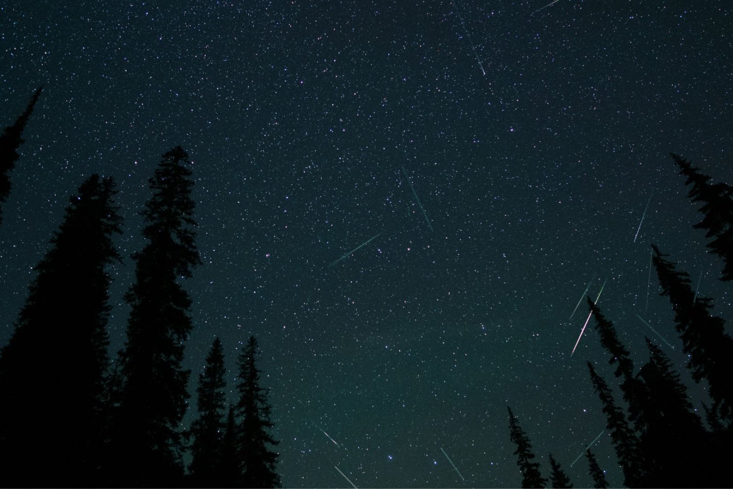 Noc Perseidów 2026 zacznie się zaraz po zaćmieniu Słońca. Warunki w tym roku będą idealne Noc Perseidów, noc, gwiazdy, meteory, spadające gwiazdy