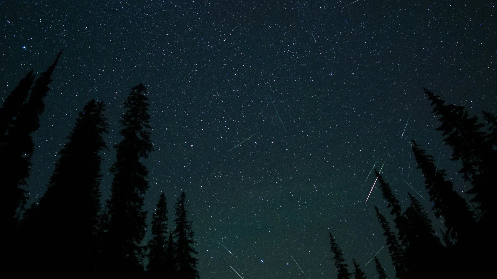 Noc Perseidów, noc, gwiazdy, meteory, spadające gwiazdy