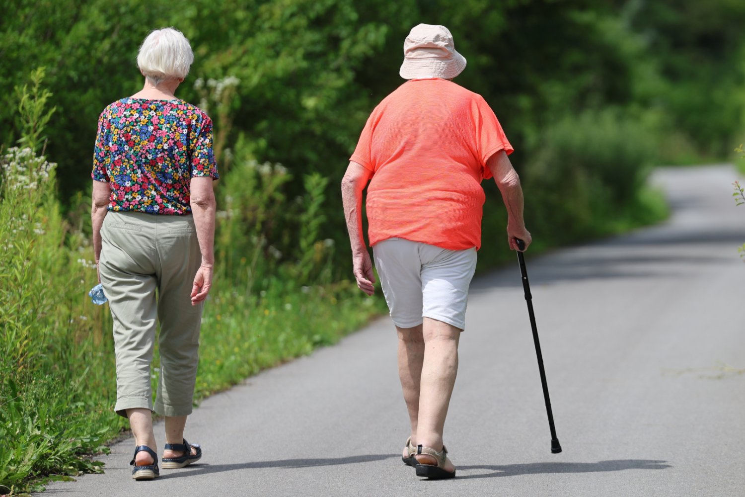 Bon senioralny 2026. Zasady, kwoty i kryterium dochodowe Para seniorów idąca w parku