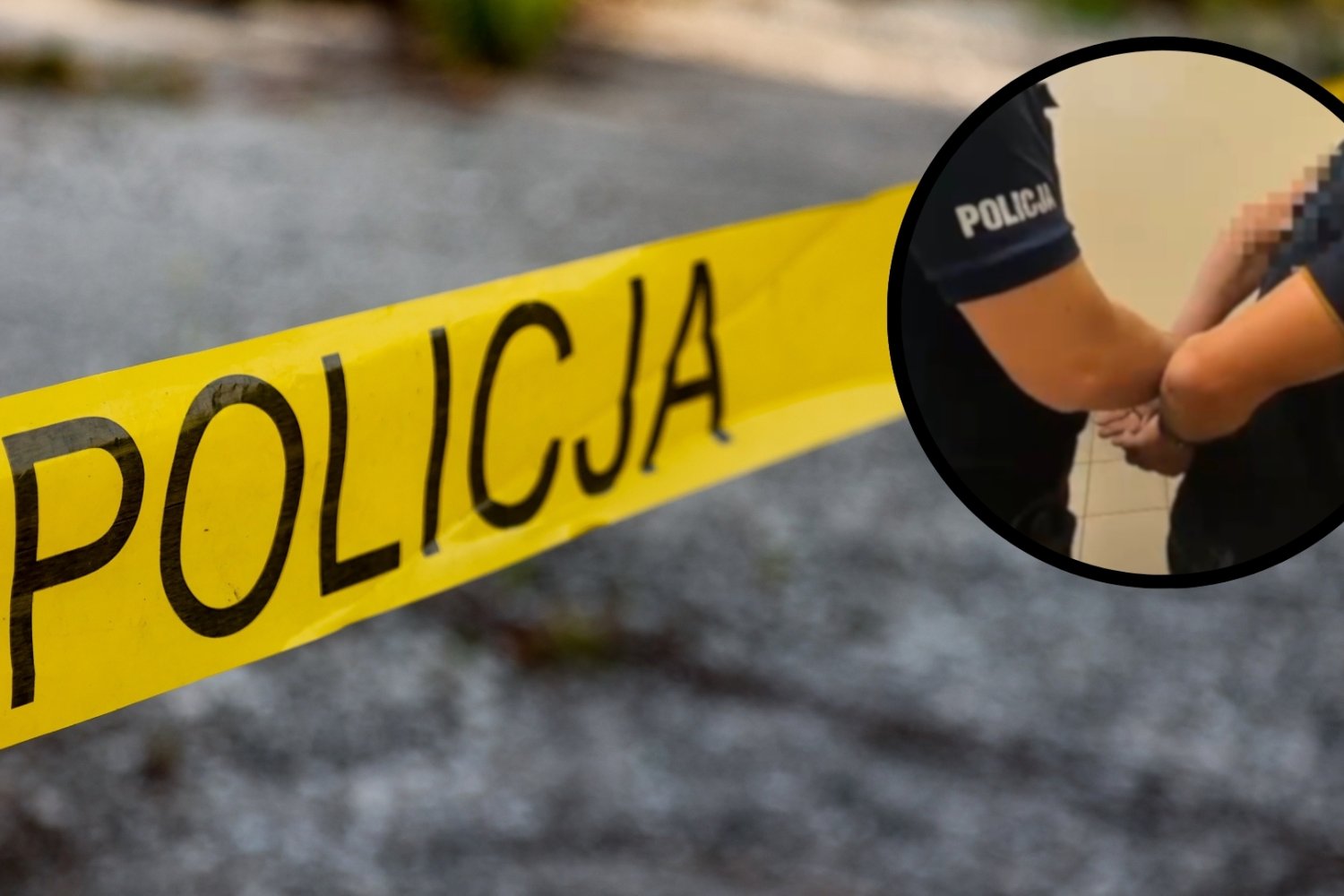 policja