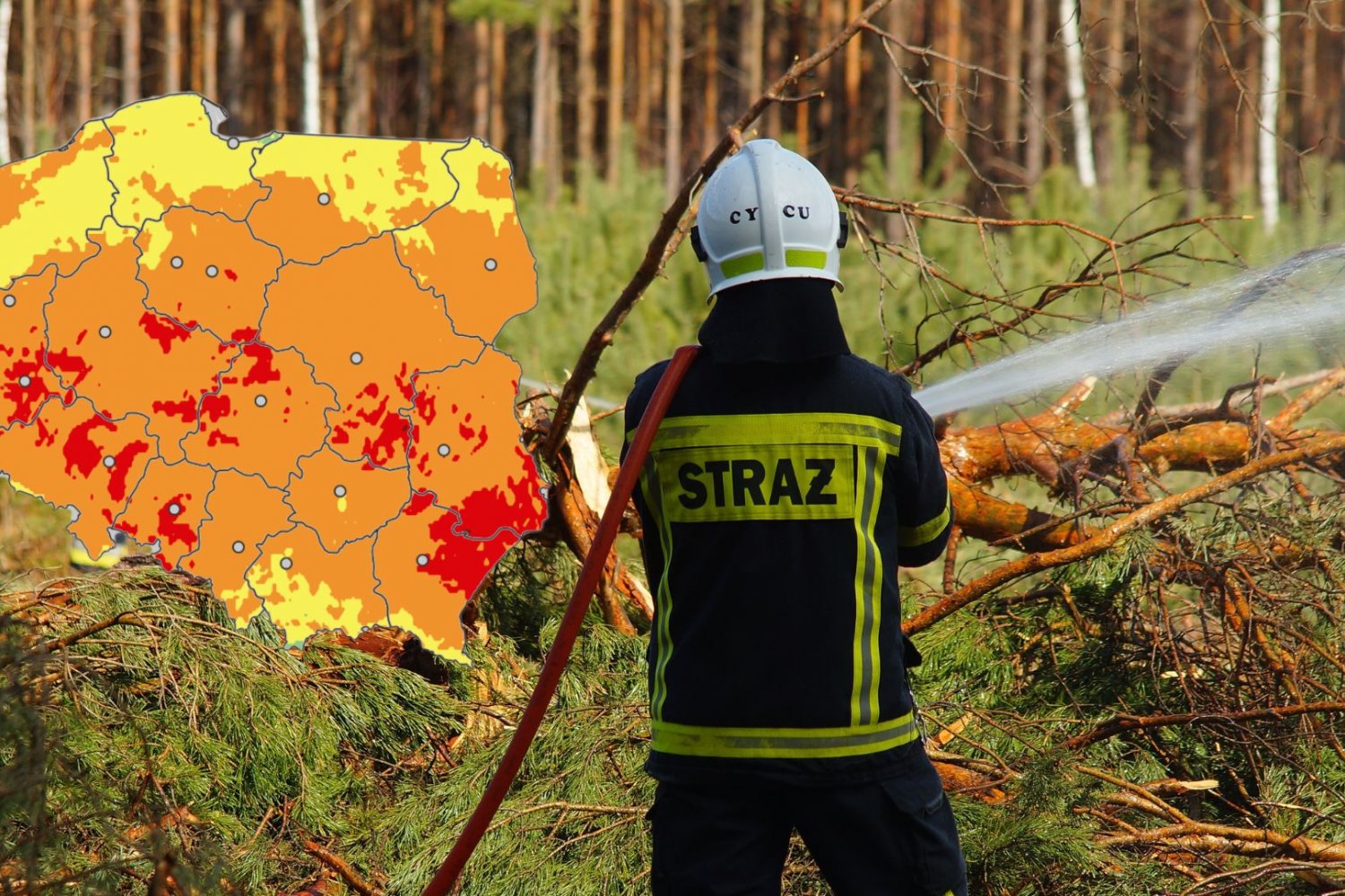 pożary, lasy, niebezpieczeństwo, upały