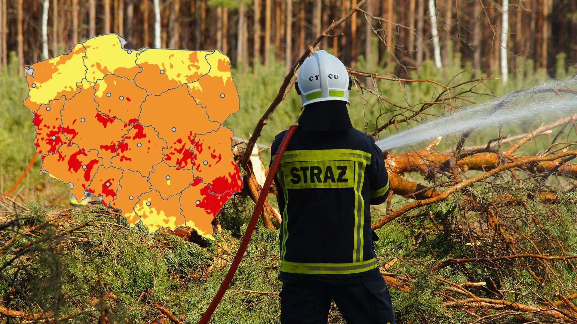 Ściółka suchsza niż kartka papieru. Wydano ostrzeżenia ws. zagrożenia pożarowego