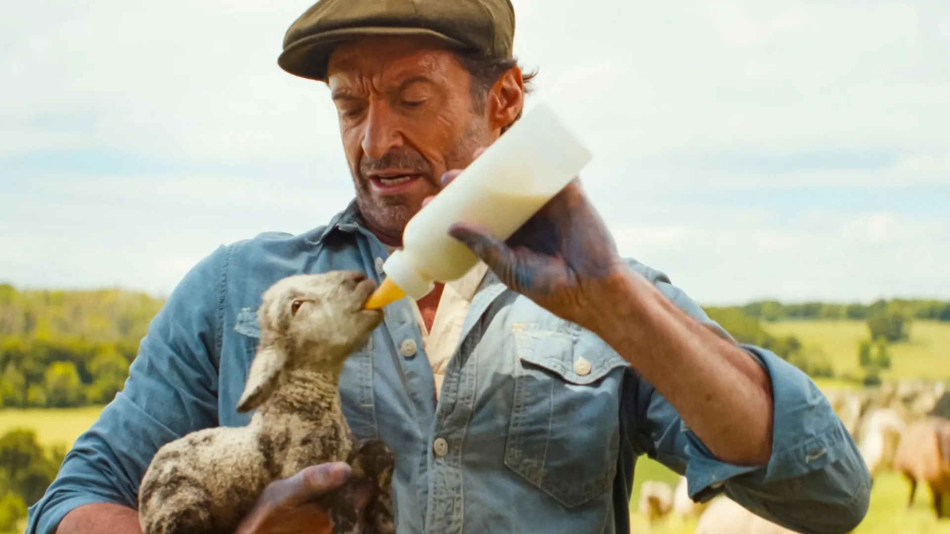 Hugh Jackman w filmie "Sprawiedliwość owiec"