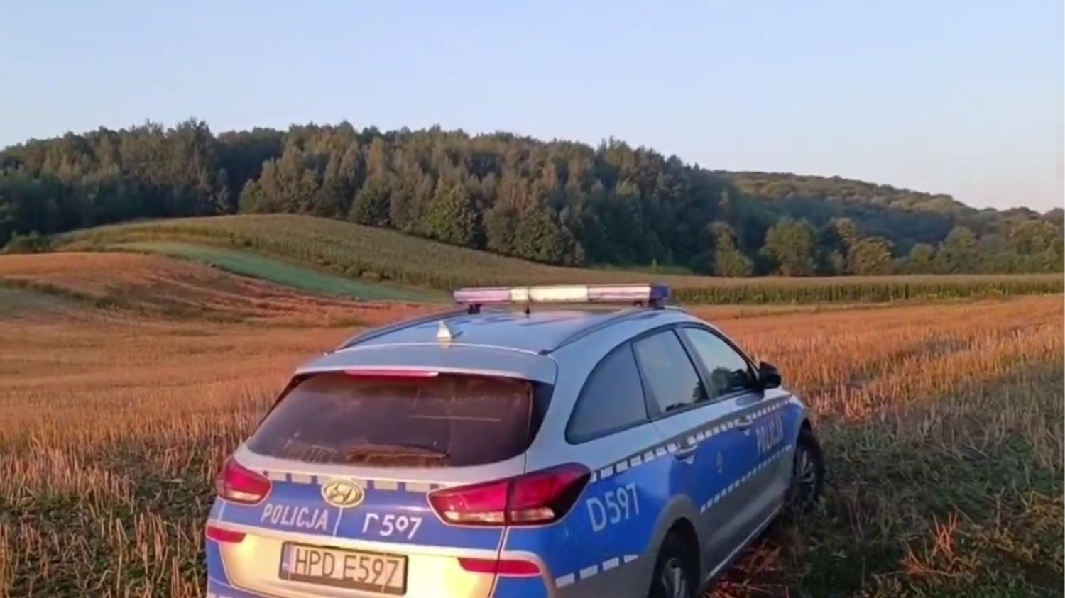 Samochód policyjny na polu w Tarnawie-Kolonii