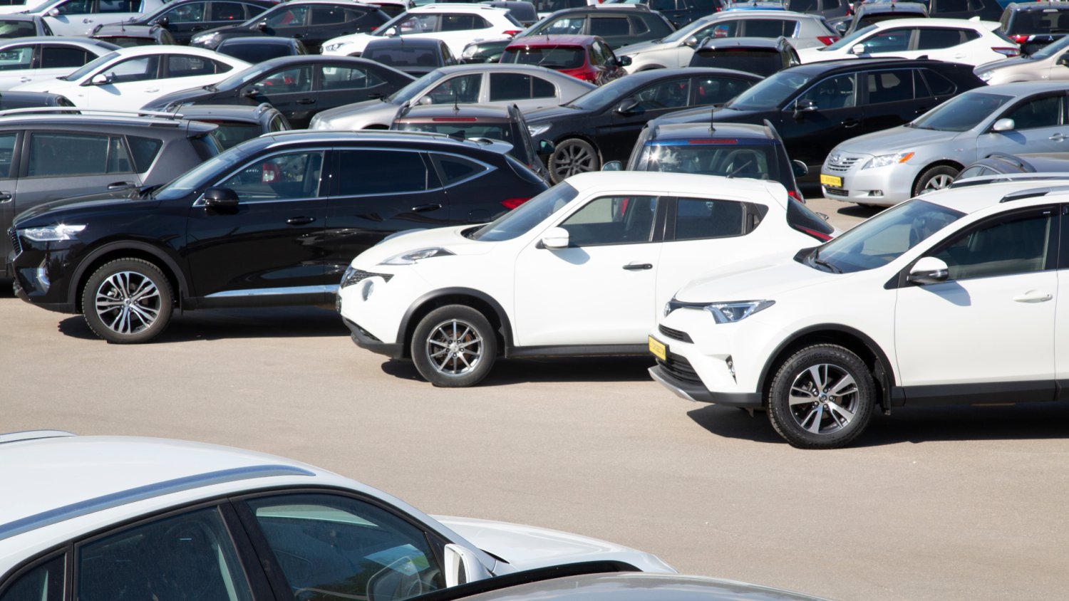 Myśleliście, iż diesel umarł? Polacy wywrócili rynek do góry nogami