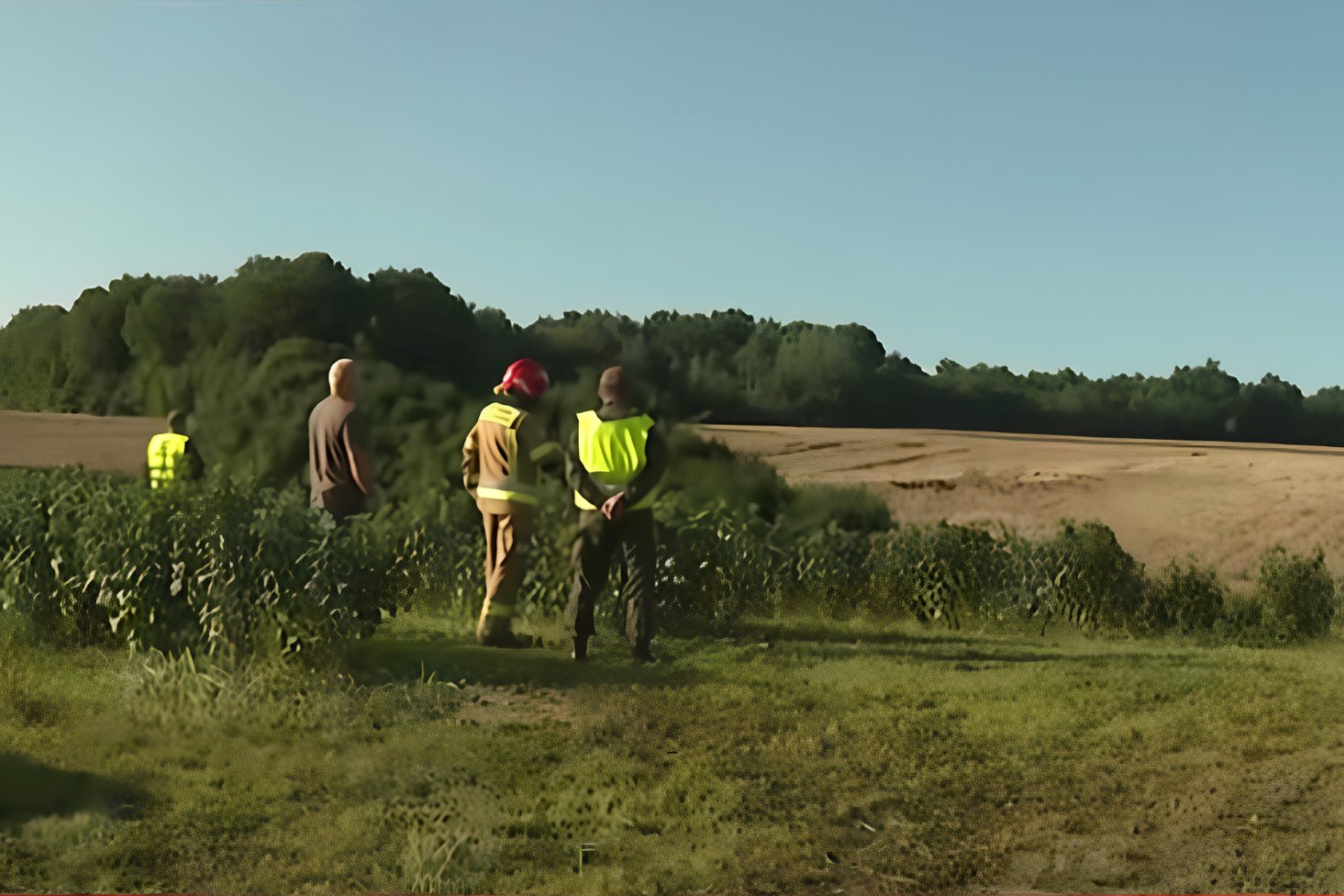 Straż pożarna i służby na miejscu zdarzenia.