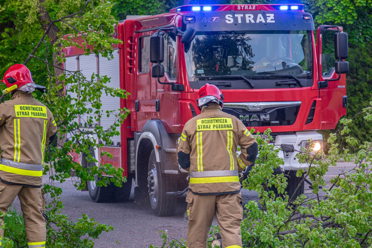 Strażacy usuwają powalone drzewo na ulicy