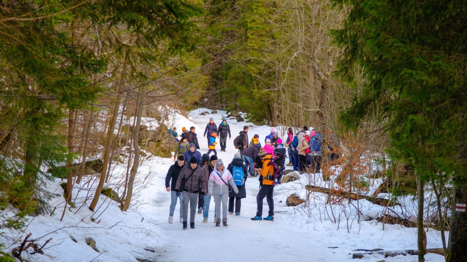Góry Tragedia Tatry