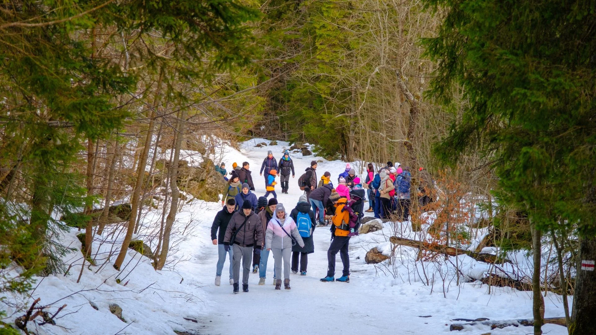 Góry Tragedia Tatry