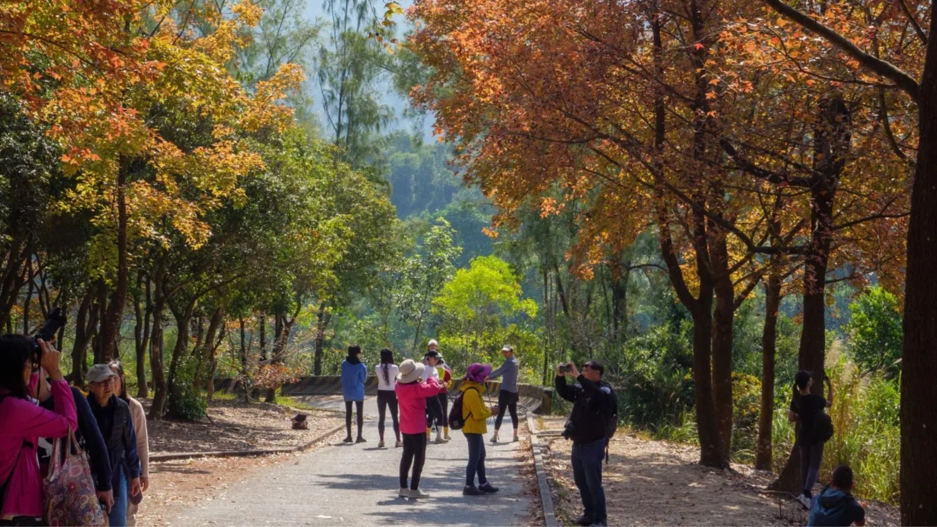 Leaf-peeping, jesienny trend turystyczny turyści wśród jesiennych drzew