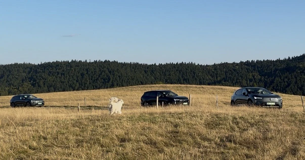 Volvo EX60