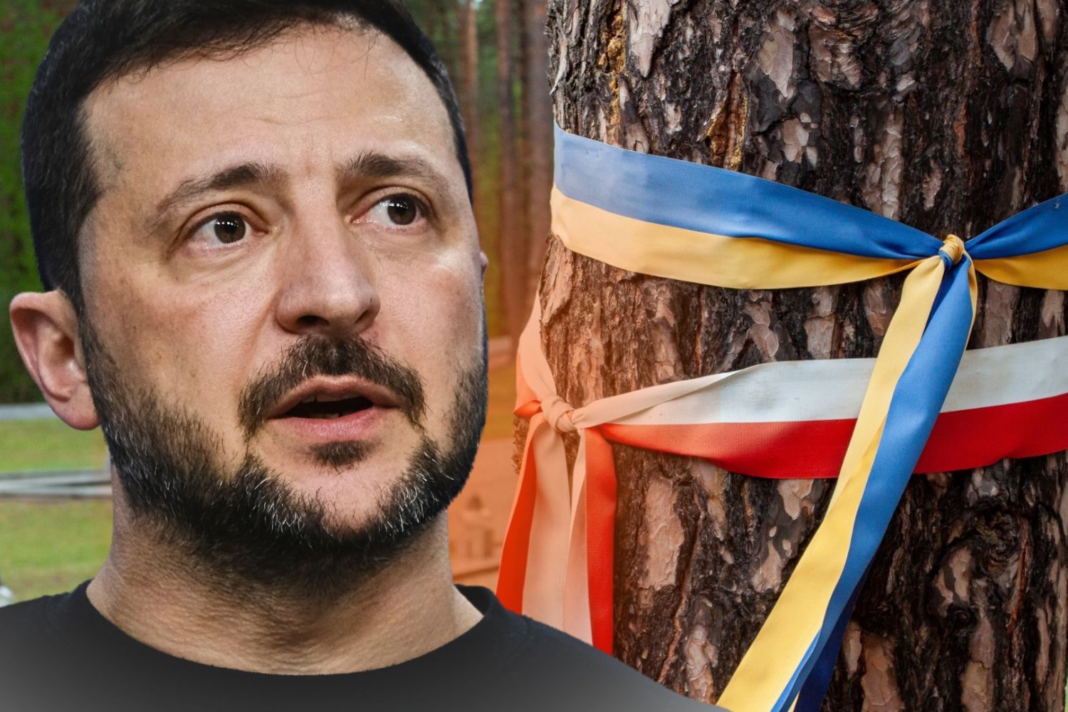 Wołodymyr Zełenski na tle drzewa z przywiązanymi wstążkami w barwach narodowych Ukrainy oraz Polski
