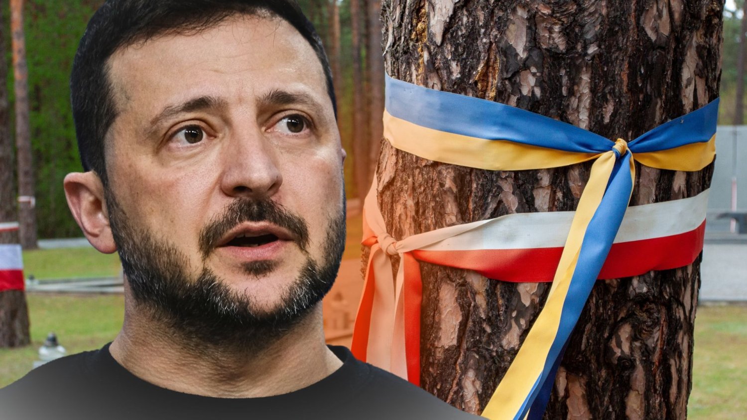 Wołodymyr Zełenski na tle drzewa z przywiązanymi wstążkami w barwach narodowych Ukrainy oraz Polski