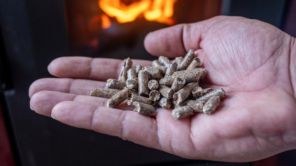 Wood pellets hit 2,018 zł per tonne this summer — prices set to rise further in winter