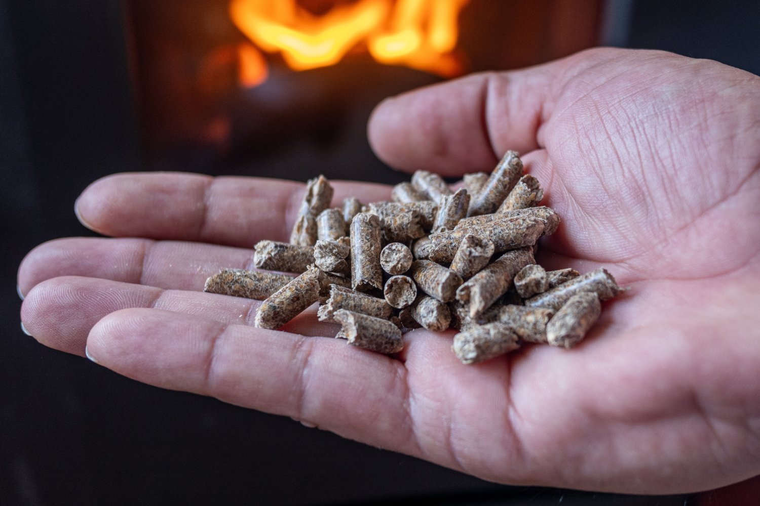 Zbliżenie na dłoń trzymającą pellet